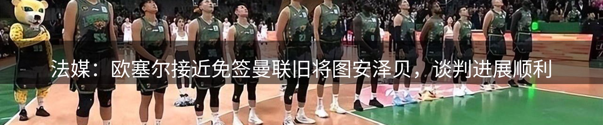 焦点总览