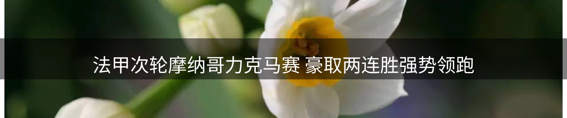 焦点总览