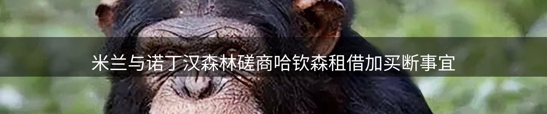 焦点总览